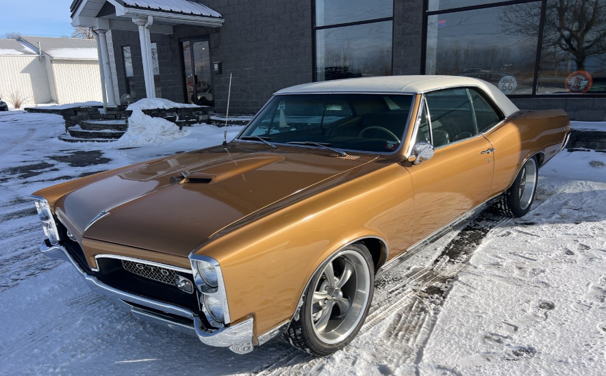 Gold 1967 Pontiac GTO classic car transported by Allstar Hauling